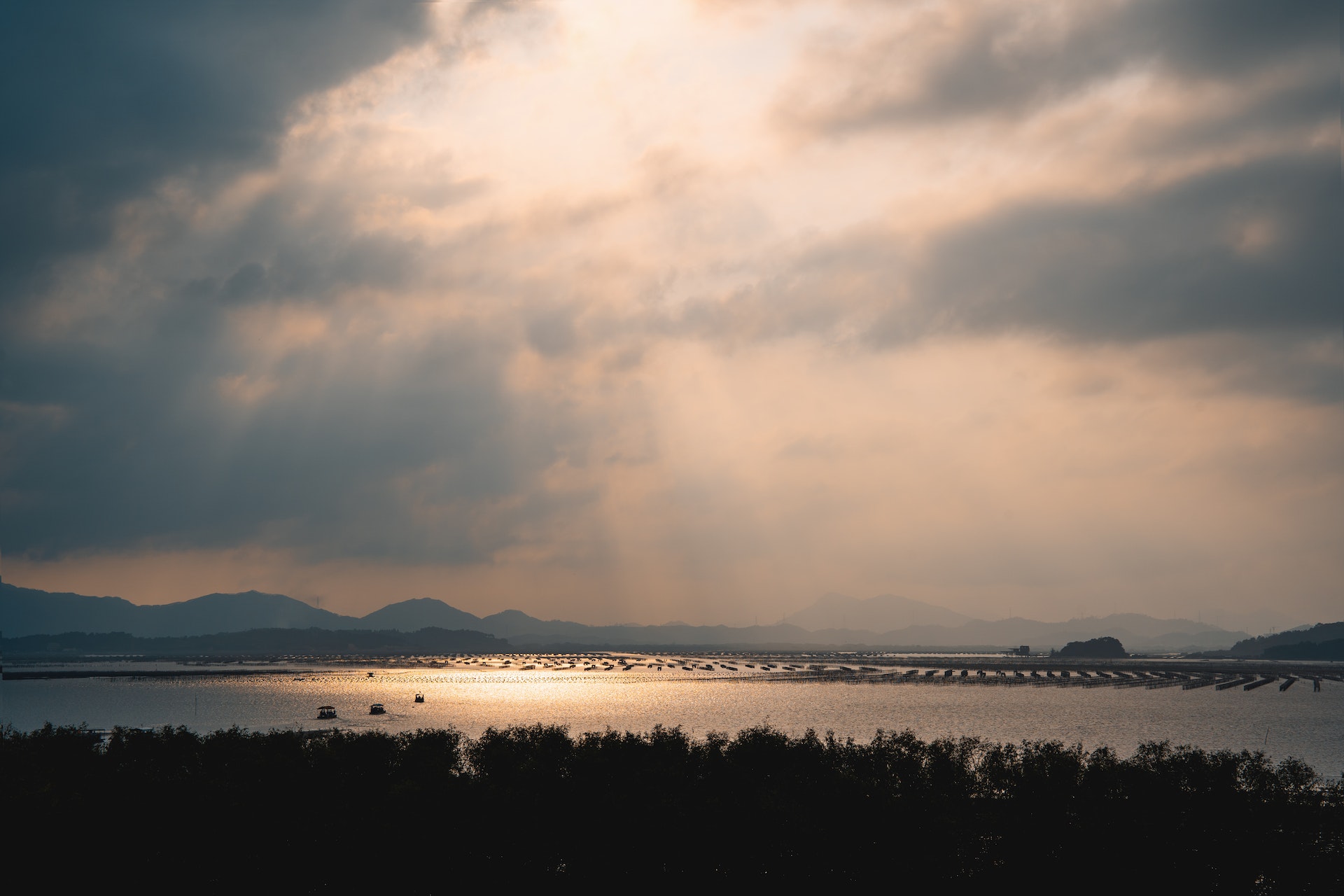 Sorg og livskrise - Balance indefra ud