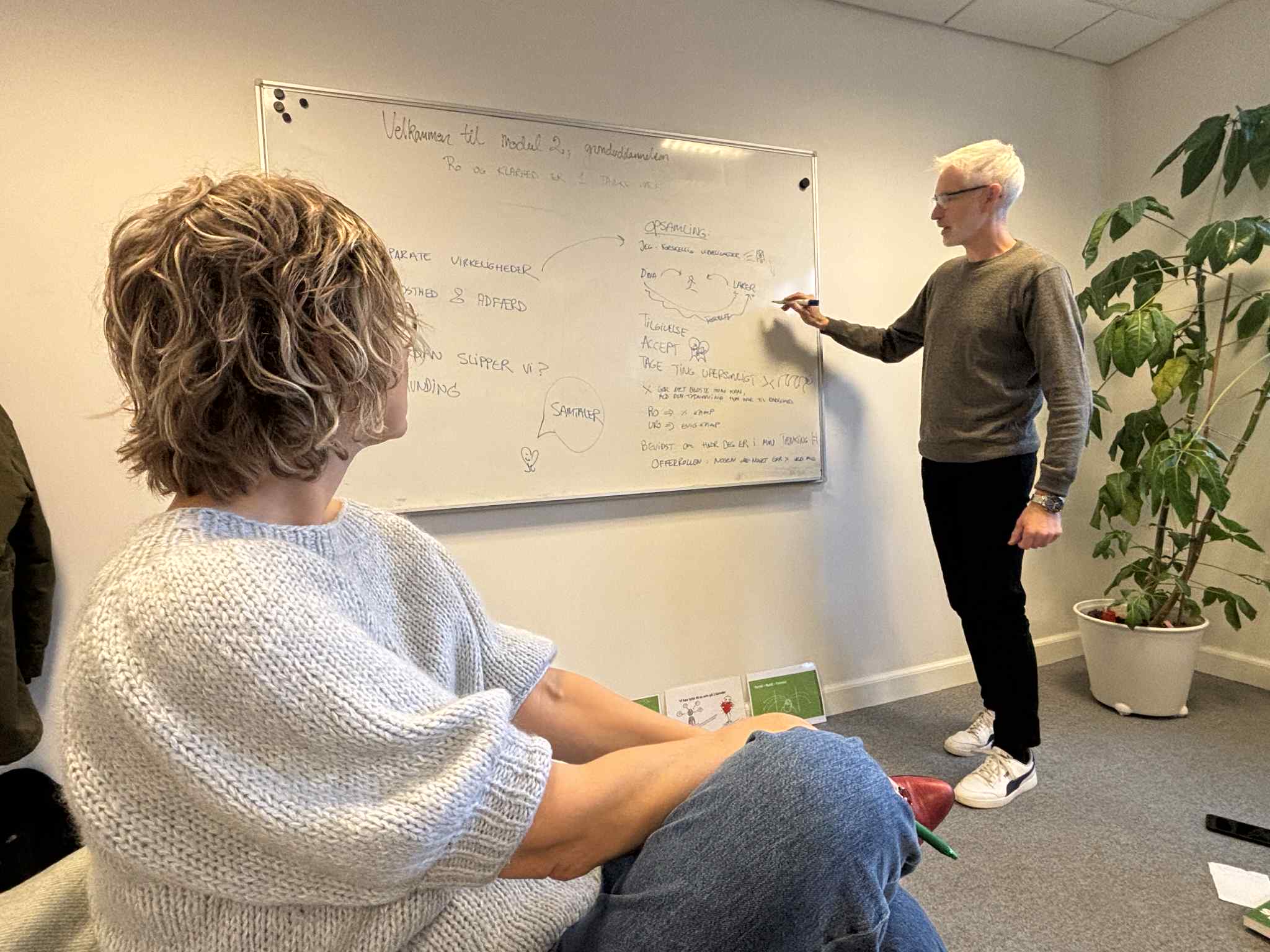 3P Grunduddannelse - forår 2026 - Billede 3